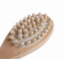 Wooden Long Handle Bath And Body Brush