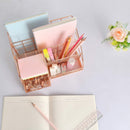 8-Compartment All-in-One Desk Organizer