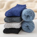 Men's Thick Coral Fleece Lounge Socks
